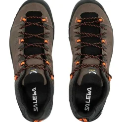 Alp Trainer 2 Gore-Tex Walking Shoes