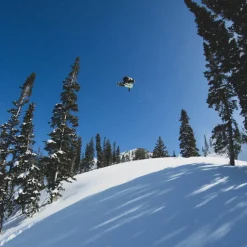 Beast Park/Freestyle Snowboard 2025