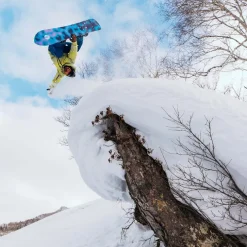 Family Tree Sketch Artist Freeride Snowboard 2026