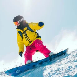Family Tree Sketch Artist Freeride Snowboard 2026