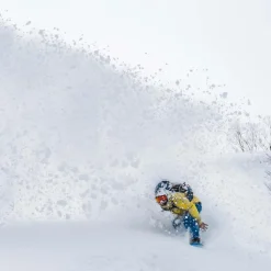 Family Tree Sketch Artist Freeride Snowboard 2026