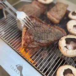 Fireplace Grill Attachment