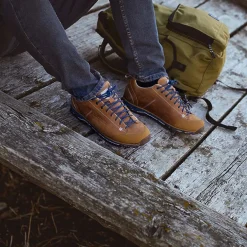 54 Low FG Evo Gore-Tex Men Walking Shoes