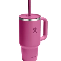 32oz All Around Travel Tumbler with Straw