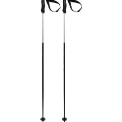 Phantastick 3 Pair of Ski Poles