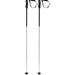 Phantastick 3 Pair of Ski Poles