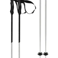 Phantastick 3 Pair of Ski Poles