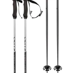 Phantastick Pair of Ski Poles