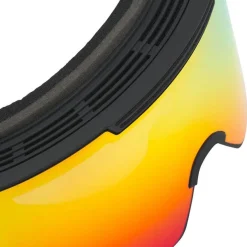 Proform Snowboard/Ski Goggles
