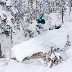 Push Up+ Women's All Mountain/Freestyle Snowboard 2026