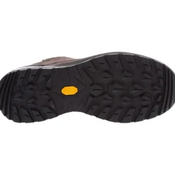 Renegade Evo Gore-Tex Lo Walking/approach shoes