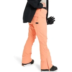 Rising High Women's Snowboard/Ski Pants