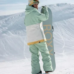 Shelter Women's Snowboard/Ski Jacket