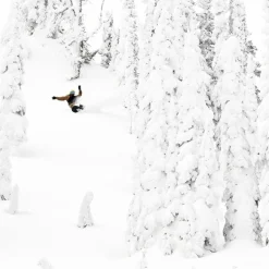 T. Rice Golden Orca All Mountain Snowboard 2026
